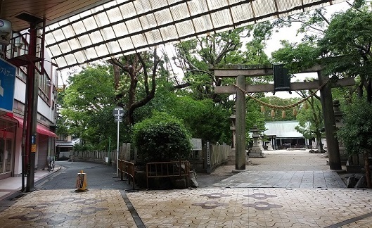 20190630_153934.jpg
