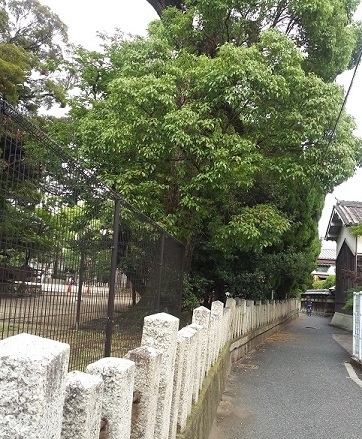 20190630_162451.jpg