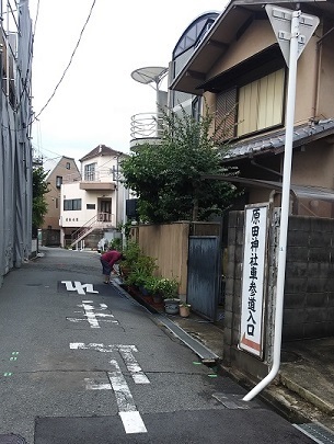 20190630_162937.jpg