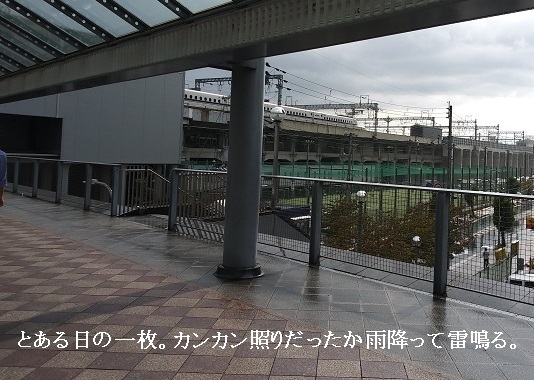 20190905_150156 (2).jpg