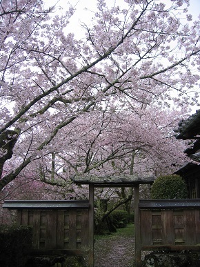 勝持寺.jpg