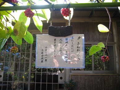 文学1.jpg