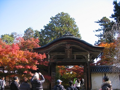 文学3.jpg