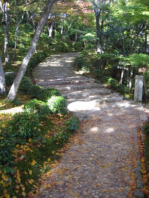 紅葉3.jpg