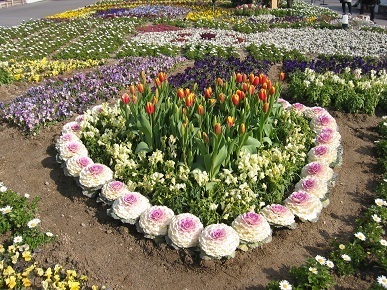 花壇.jpg